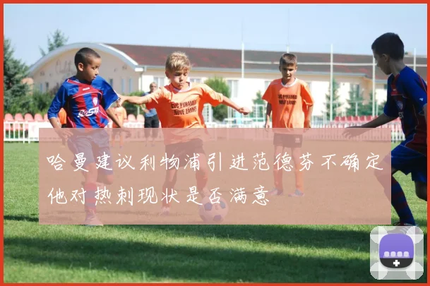 哈曼建议利物浦引进范德芬不确定他对热刺现状是否满意