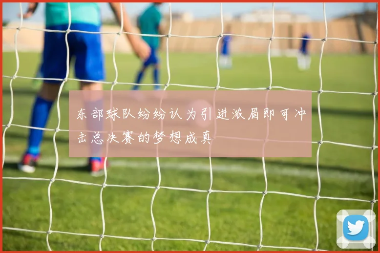 东部球队纷纷认为引进浓眉即可冲击总决赛的梦想成真