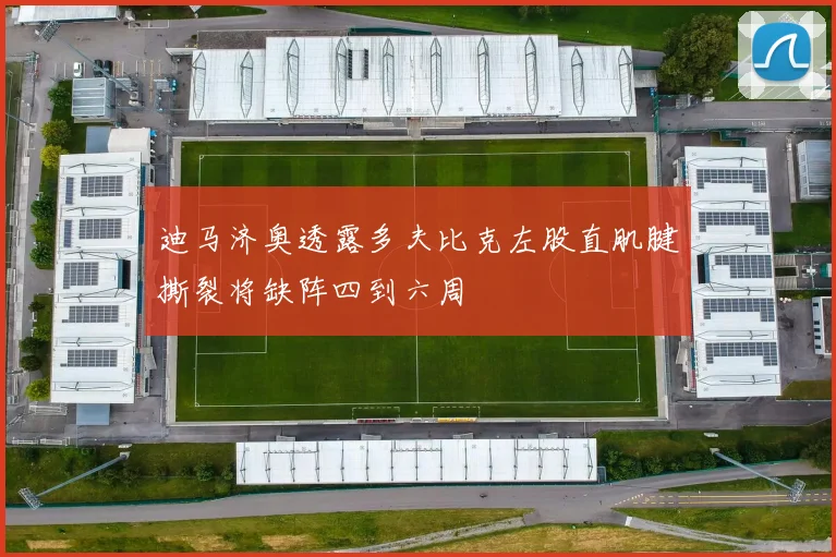 迪马济奥透露多夫比克左股直肌腱撕裂将缺阵四到六周